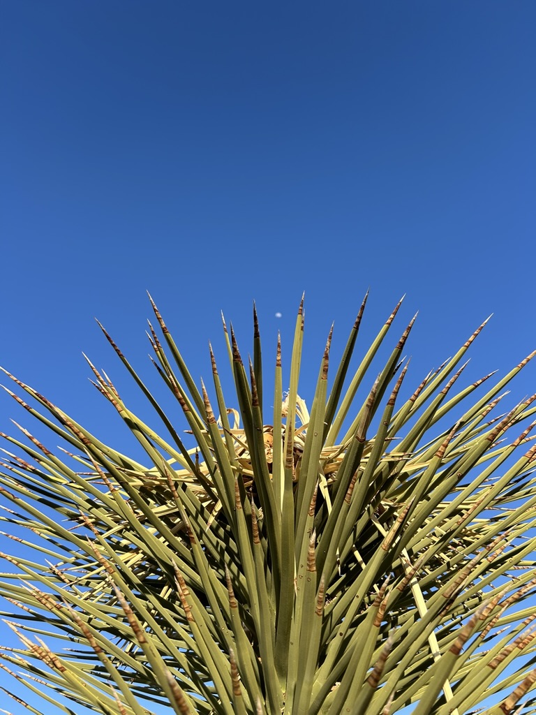 Heading to Desert&nbsp;City